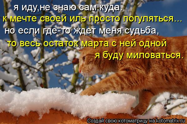 я иду,не знаю сам,куда. к мечте своей иль просто погуляться... но если где-то ждет меня судьба, то ве... Котоматрица: я иду,не знаю сам,куда. к мечте своей иль просто погуляться... но если где-то ждет меня судьба, то весь остаток марта с ней одной я буду милова