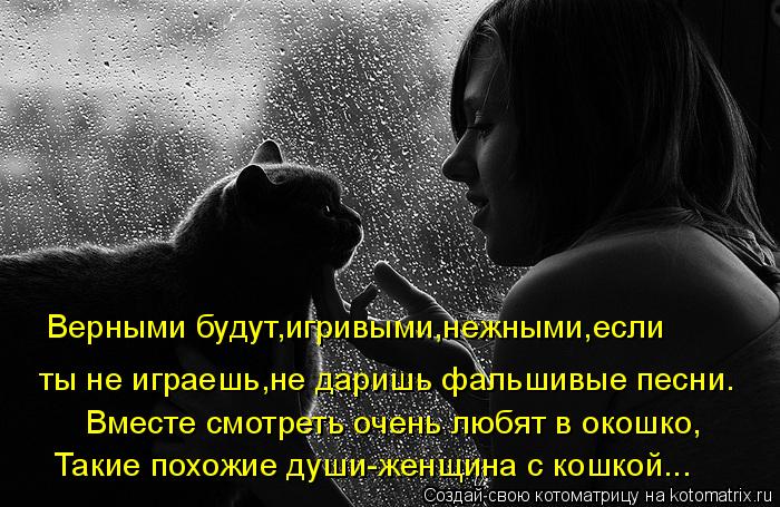 Верными будут,игривыми,нежными,если ты не играешь,не даришь фальшивые песни. Вместе смотреть очень лю... Котоматрица: Верными будут,игривыми,нежными,если ты не играешь,не даришь фальшивые песни. Вместе смотреть очень любят в окошко, Такие похожие души-женщи