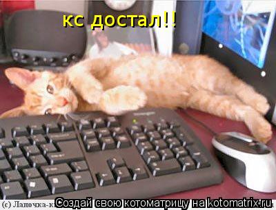 кс достал!!... Котоматрица: кс достал!!