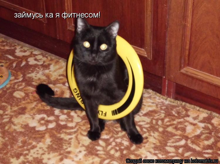 займусь ка я фитнесом!... Котоматрица: займусь ка я фитнесом!