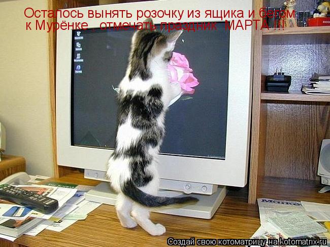Осталось вынять розочку из ящика и бегом к Мурёнке , отмечать праздник МАРТА !!!... Котоматрица: Осталось вынять розочку из ящика и бегом к Мурёнке , отмечать праздник МАРТА !!!