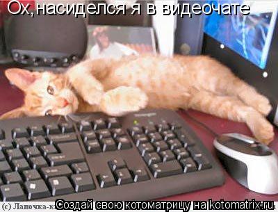 Ох,насиделся я в видеочате... Котоматрица: Ох,насиделся я в видеочате