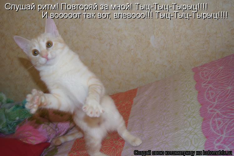 Слушай ритм! Повторяй за мной! Тыц-Тыц-Тырыц-Тыц!!!! И вооооот так вот, влевооо!!! Тыц-Тыц-Тырыц!!!! ... Котоматрица: Слушай ритм! Повторяй за мной! Тыц-Тыц-Тырыц-Тыц!!!! И вооооот так вот, влевооо!!! Тыц-Тыц-Тырыц!!!! И вооооот так вот, влевооо!!! Тыц-Тыц-Тырыц!!!! С