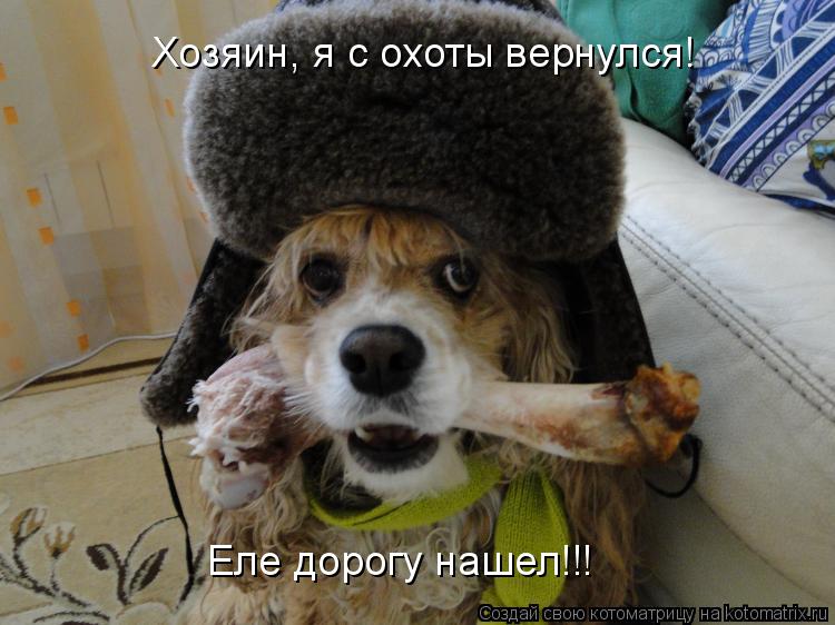 Хозяин, я с охоты вернулся! Еле дорогу нашел!!!... Котоматрица: Хозяин, я с охоты вернулся! Еле дорогу нашел!!!
