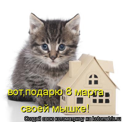 вот,подарю 8 марта своей мышке!... Котоматрица: вот,подарю 8 марта своей мышке!