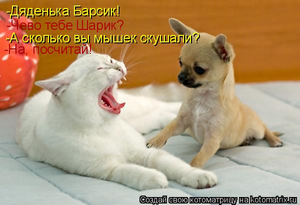 -Дяденька Барсик! -Дяденька Барсик! -Чево тебе Шарик? -А сколько вы мышек скушали? -На, посчитай!... Котоматрица: -Дяденька Барсик! -Дяденька Барсик! -Чево тебе Шарик? -А сколько вы мышек скушали? -На, посчитай!