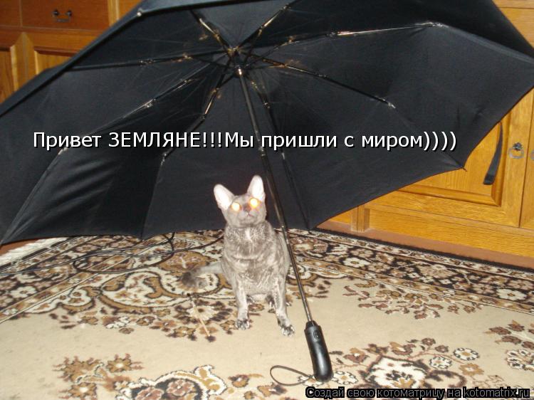 Привет ЗЕМЛЯНЕ!!! Привет ЗЕМЛЯНЕ!!!Мы пришли с миром))))... Котоматрица: Привет ЗЕМЛЯНЕ!!! Привет ЗЕМЛЯНЕ!!!Мы пришли с миром))))