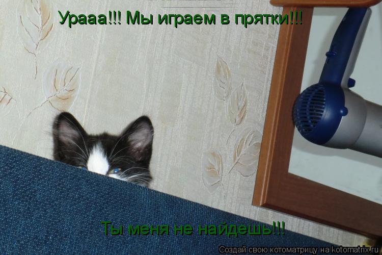 Урааа!!! Мы играем в прятки!!! Ты меня не найдешь!!!... Котоматрица: Урааа!!! Мы играем в прятки!!! Ты меня не найдешь!!!