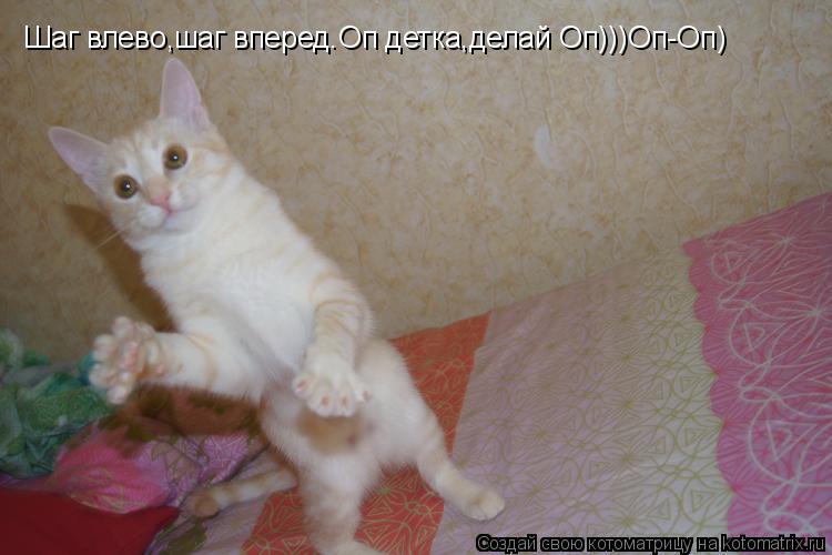 Шаг влево,шаг вперед.Оп детка,делай Оп)))Оп-Оп)... Котоматрица: Шаг влево,шаг вперед.Оп детка,делай Оп)))Оп-Оп)