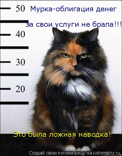 Мурка-облигация денег за свои услуги не брала!!! Это была ложная наводка!... Котоматрица: Мурка-облигация денег за свои услуги не брала!!! Это была ложная наводка!