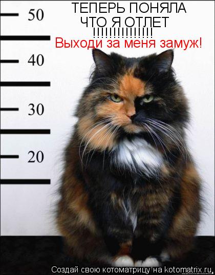 ТЕПЕРЬ ПОНЯЛА ЧТО Я ОТЛЕТ! ТЕПЕРЬ ПОНЯЛА ЧТО Я ОТЛЕТ !!!!!!!!!!!!!!! Выходи за меня замуж!... Котоматрица: ТЕПЕРЬ ПОНЯЛА ЧТО Я ОТЛЕТ! ТЕПЕРЬ ПОНЯЛА ЧТО Я ОТЛЕТ !!!!!!!!!!!!!!! Выходи за меня замуж!