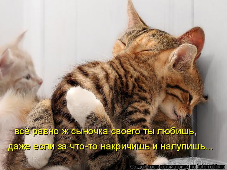 всё равно ж сыночка своего ты любишь, даже если за что-то накричишь и налупишь...... Котоматрица: всё равно ж сыночка своего ты любишь, даже если за что-то накричишь и налупишь...