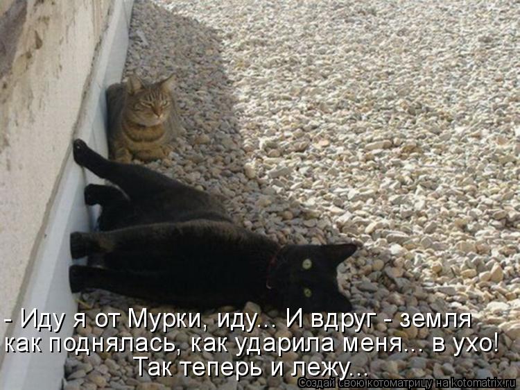- Иду я от Мурки, иду... И вдруг - земля как поднялась, как ударила меня... в ухо! Так теперь и лежу.... Котоматрица: - Иду я от Мурки, иду... И вдруг - земля как поднялась, как ударила меня... в ухо! Так теперь и лежу...