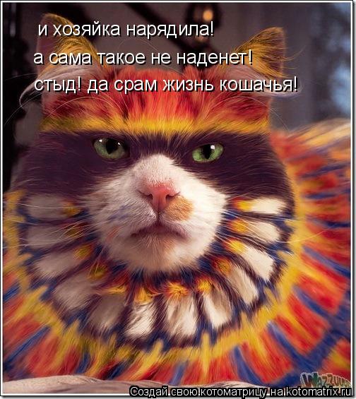 и хозяйка нарядила! а сама такое не наденет! стыд! да срам жизнь кошачья!... Котоматрица: и хозяйка нарядила! а сама такое не наденет! стыд! да срам жизнь кошачья!