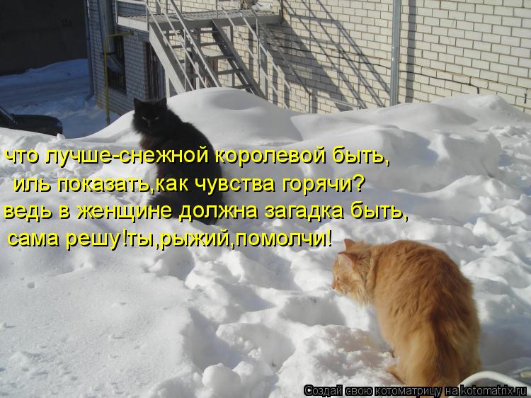 что лучше-снежной королевой быть, иль показать,как чувства горячи? ведь в женщине должна загадка быть... Котоматрица: что лучше-снежной королевой быть, иль показать,как чувства горячи? ведь в женщине должна загадка быть, сама решу!ты,рыжий,помолчи!