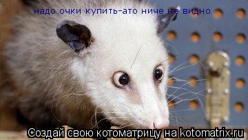 надо очки купить-ато ниче не видно... Котоматрица: надо очки купить-ато ниче не видно