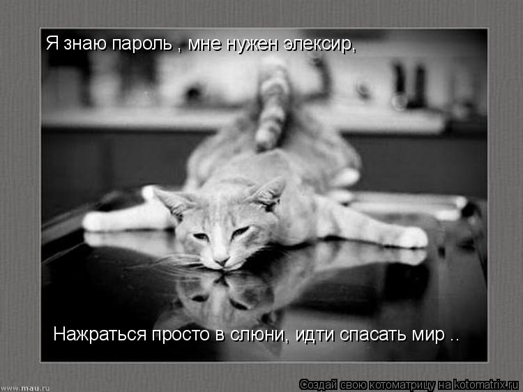 Я знаю пароль , мне нужен элексир, Нажраться просто в слюни, идти спасать мир ..... Котоматрица: Я знаю пароль , мне нужен элексир, Нажраться просто в слюни, идти спасать мир ..
