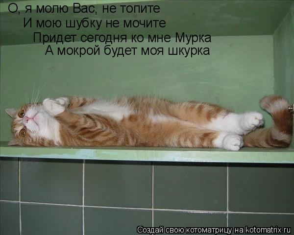 О, я молю Вас, не топите И мою шубку не мочите Придет сегодня ко мне Мурка А мокрой будет моя шкурка... Котоматрица: О, я молю Вас, не топите И мою шубку не мочите Придет сегодня ко мне Мурка А мокрой будет моя шкурка