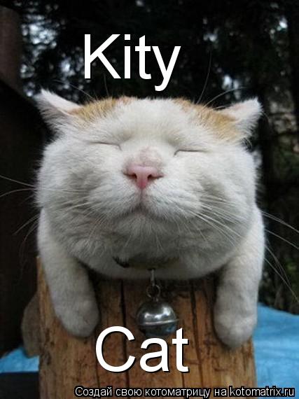 Kity Cat... Котоматрица: Kity Cat