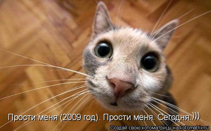 Прости меня (2009 год). Прости меня. Сегодня. )))... Котоматрица: Прости меня (2009 год). Прости меня. Сегодня. )))