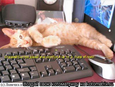 Отдавай!Быстро,давай мне ноутбук,А не то..я съем яблоко!... Котоматрица: Отдавай!Быстро,давай мне ноутбук,А не то..я съем яблоко!