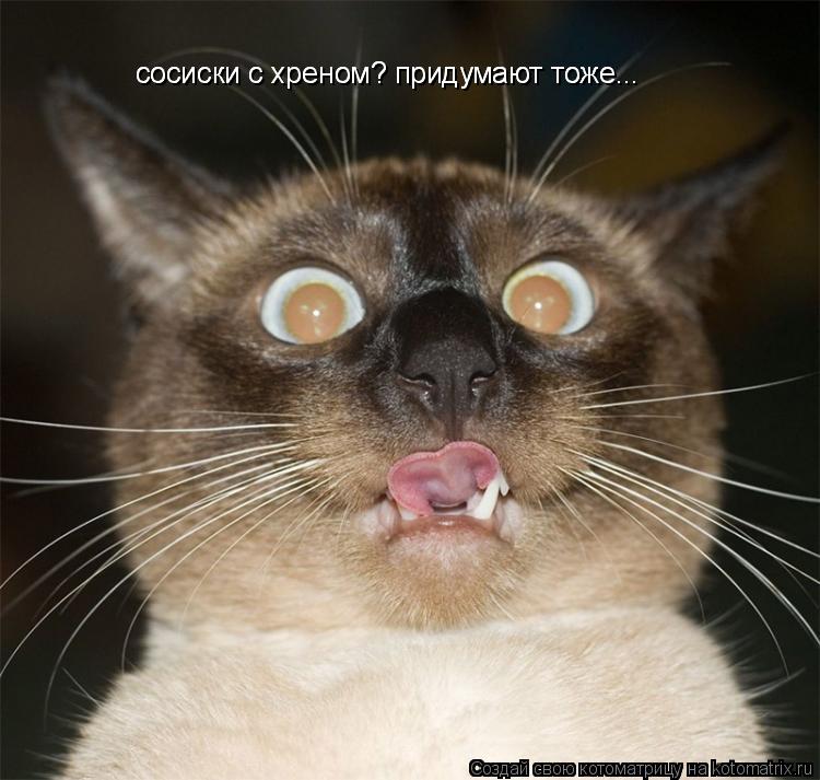 сосиски с хреном? придумают тоже... сосиски с хреном? придумают тоже...... Котоматрица: сосиски с хреном? придумают тоже... сосиски с хреном? придумают тоже...