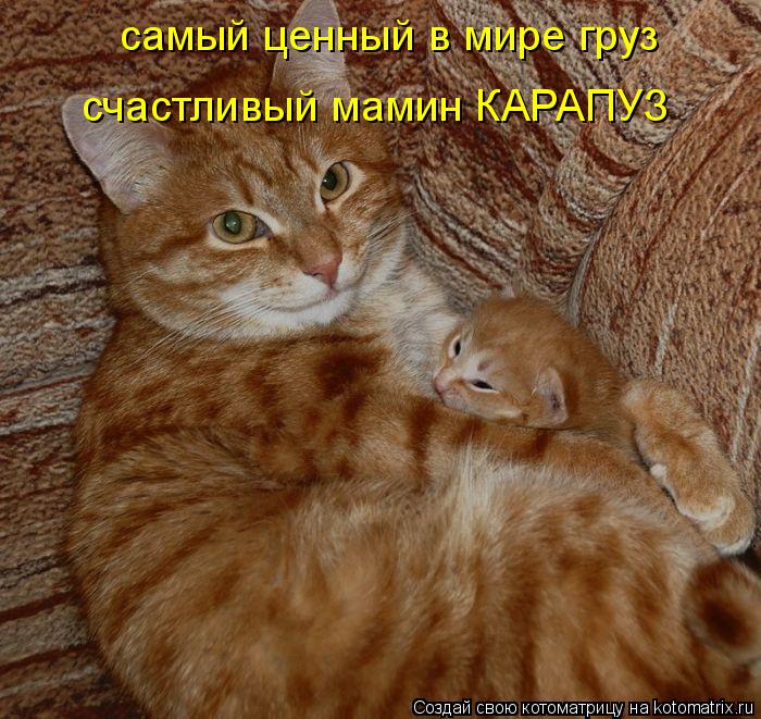 самый ценный в мире груз счастливый мамин КАРАПУЗ... Котоматрица: самый ценный в мире груз счастливый мамин КАРАПУЗ