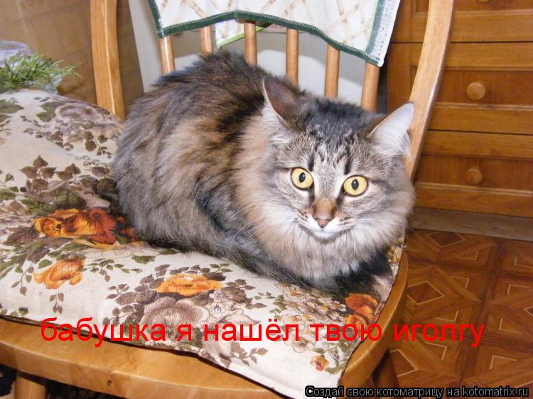 Котоматрица: бабушка я нашёл твою иголгу