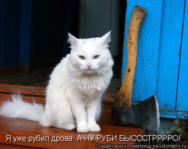 Котоматрица: Я уже рубил дрова..А НУ РУБИ БЫСССТРРРРО!