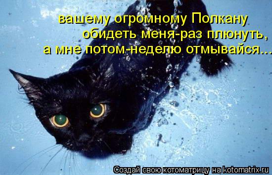 вашему огромному Полкану обидеть меня-раз плюнуть, а мне потом-неделю отмывайся...... Котоматрица: вашему огромному Полкану обидеть меня-раз плюнуть, а мне потом-неделю отмывайся...