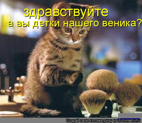 Котоматрица: здравствуйте а вы детки нашего веника?