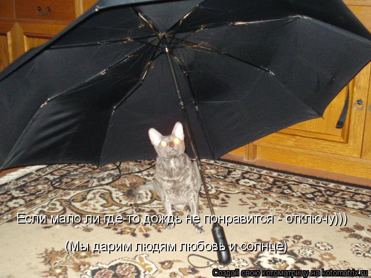 Котоматрица: Если мало ли где-то дождь не понравится - отключу))) (Мы дарим людям любовь и солнце)