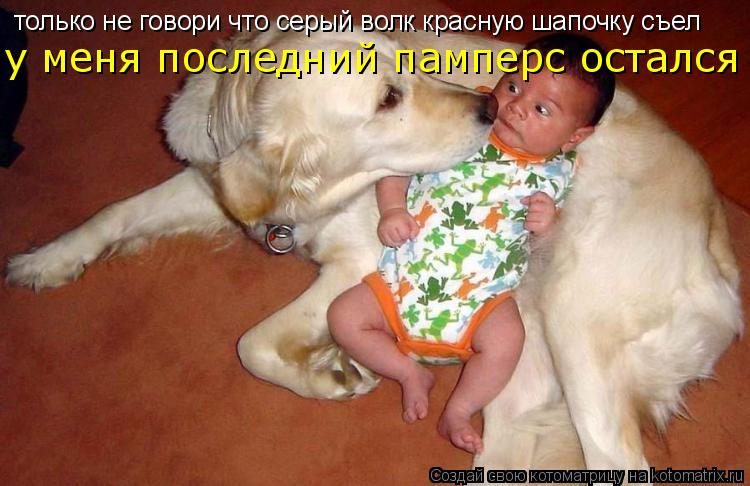 только не говори что серый волк красную шапочку съел у меня последний памперс остался... Котоматрица: только не говори что серый волк красную шапочку съел у меня последний памперс остался