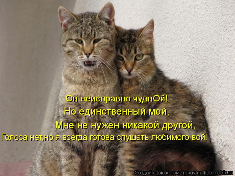 Он неисправно чуднОй! Но единственный мой, Мне не нужен никакой другой, Голоса нет,но я всегда готова... Котоматрица: Он неисправно чуднОй! Но единственный мой, Мне не нужен никакой другой, Голоса нет,но я всегда готова слушать любимого вой!