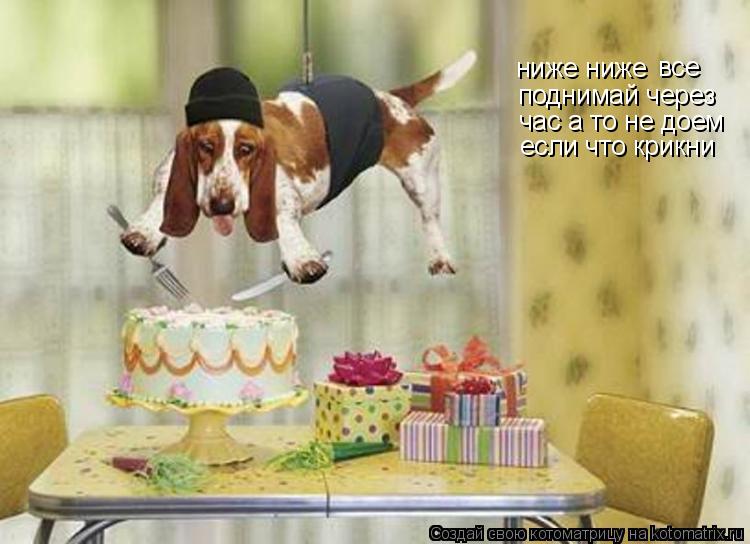 ниже ниже все поднимай через час а то не доем если что крикни... Котоматрица: ниже ниже все поднимай через час а то не доем если что крикни
