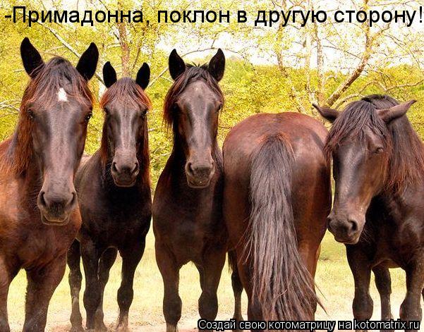 -Примадонна, поклон в другую сторону!... Котоматрица: -Примадонна, поклон в другую сторону!