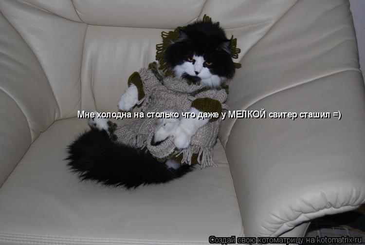 Мне холодна на столько что даже у МЕЛКОЙ свитер сташил =) Мне холодна на столько что даже у МЕЛКОЙ св... Котоматрица: Мне холодна на столько что даже у МЕЛКОЙ свитер сташил =) Мне холодна на столько что даже у МЕЛКОЙ свитер сташил =) Мне холодна на столько что