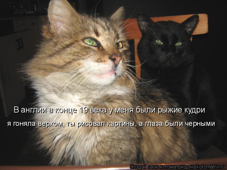Котоматрица: В англии в конце 19 века у меня были рыжие кудри я гоняла верхом, ты рисовал картины, а глаза были черными