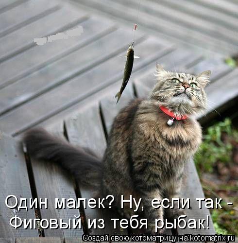 Котоматрица: Один малек? Ну, если так - Фиговый из тебя рыбак!