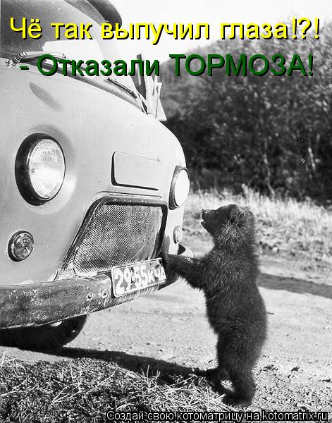 Котоматрица: Чё так выпучил глаза!?! - Отказали ТОРМОЗА!