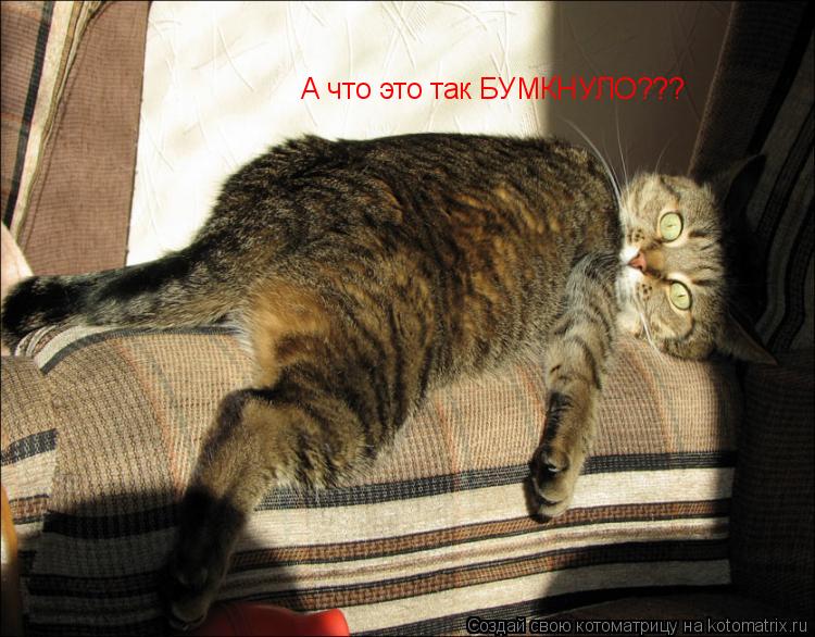 А что это так БУМКНУЛО???... Котоматрица: А что это так БУМКНУЛО???
