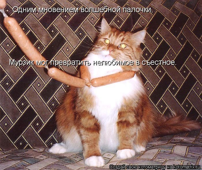 Одним мновением волшебной палочки, Мурзик мог превратить нелюбимое в съестное.... Котоматрица: Одним мновением волшебной палочки, Мурзик мог превратить нелюбимое в съестное.