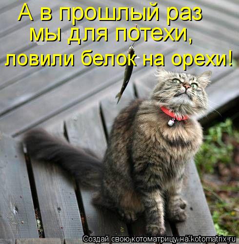 А в прошлый раз мы для потехи, ловили белок на орехи!... Котоматрица: А в прошлый раз мы для потехи, ловили белок на орехи!