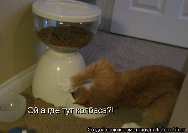 Эй,а где тут колбаса?!... Котоматрица: Эй,а где тут колбаса?!