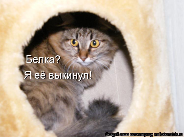 Белка? Я её выкинул!... Котоматрица: Белка? Я её выкинул!