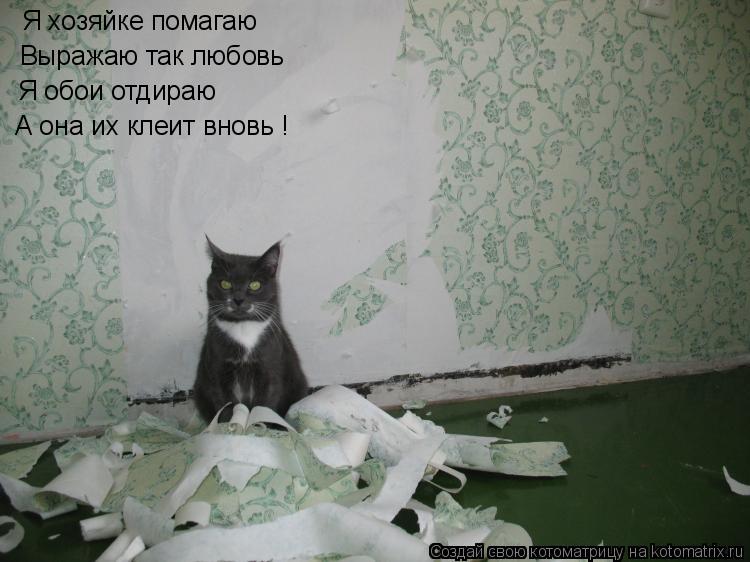 Я хозяйке помагаю Выражаю так любовь А она их клеит вновь ! Я обои отдираю... Котоматрица: Я хозяйке помагаю Выражаю так любовь А она их клеит вновь ! Я обои отдираю