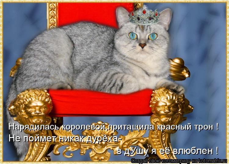 Нарядилась королевой,притащила красный трон ! Не поймет никак дурёха- в дУшу я её влюблен !... Котоматрица: Нарядилась королевой,притащила красный трон ! Не поймет никак дурёха- в дУшу я её влюблен !