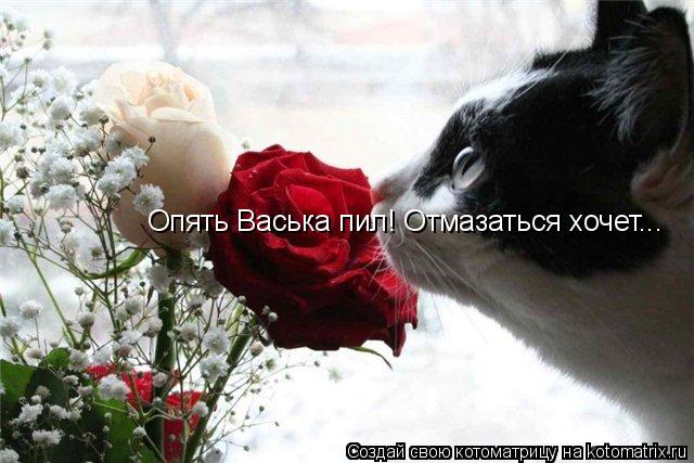Котоматрица: Опять Васька пил! Отмазаться хочет...