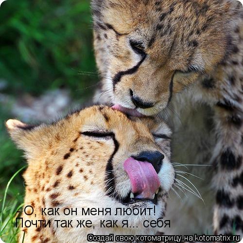 Котоматрица: - О, как он меня любит! Почти так же, как я... себя