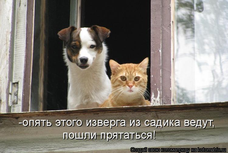 Котоматрица: -опять этого изверга из садика ведут, пошли прятаться!